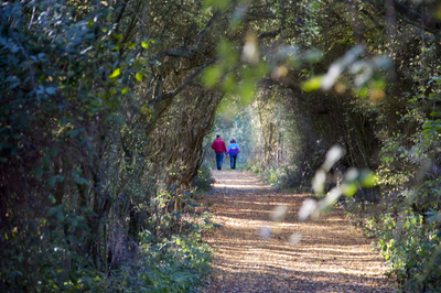 Walk in the countryside