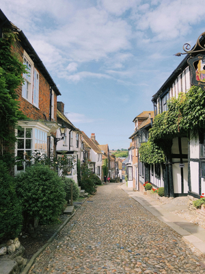 A cobblestone street lined with houses in the village of Rye.