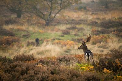 London to Staffordshire Day Trip Inspiration