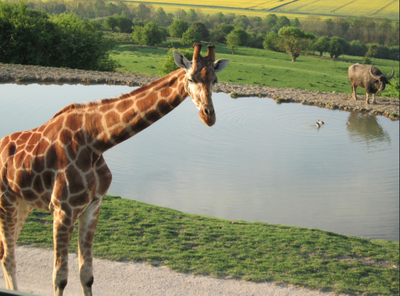 Port Lympne