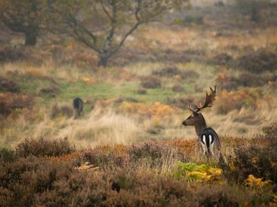 London to Staffordshire Day Trip Inspiration